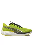 Buty sportowe męskie - Puma Buty 380080 01 Zielony - miniaturka - grafika 1