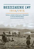 Historia świata - Bieszczadzkie lwy 1914/1915. Szkice z działań militarnych w Beskidach - miniaturka - grafika 1