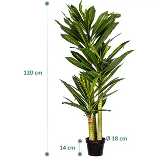 SZTUCZNE DRZEWKO DRACENA 120 CM SMOCZE DRZEWO - Sztuczne drzewka - miniaturka - grafika 3