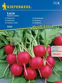 Nasiona i cebule - Rzodkiewka Lucia Nasiona Rzodkiewki Kiepenkerl - miniaturka - grafika 1