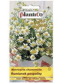 Nasiona i cebule - Plantico Rumianek pospolity - miniaturka - grafika 1