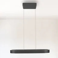 Lampy sufitowe - Paul Neuhaus Lampa wisząca Q-Stretto, możliwość ściemniania, czarny, salon / jadalnia, metal, nowoczesny - miniaturka - grafika 1