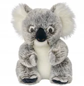 Maskotki i pluszaki - Maskotka Miś Koala Australijski Realistyczny - 25cm - miniaturka - grafika 1