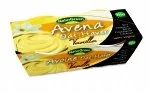 Kefiry, jogurty, maślanki - NATURGREEN DESER OWSIANY WANILIOWY BIO 2x125g - NATURGREEN 8437007759259 - miniaturka - grafika 1