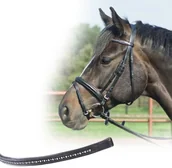 Ogłowia - Busse Ogłowie STAR - silver point - miniaturka - grafika 1