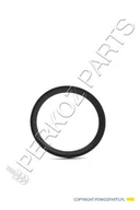 Części i akcesoria do maszyn rolniczych - NEW HOLLAND CASE O-RING CASE CNH 82019813 82019813 - miniaturka - grafika 1