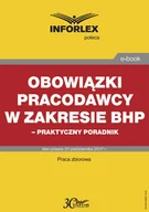 E-booki - prawo - Obowiązki pracodawcy w zakresie BHP – praktyczny poradnik - miniaturka - grafika 1