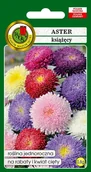 Nasiona i cebule - Aster książęcy mieszany 0,8 g PNOS - miniaturka - grafika 1