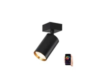 Lampy sufitowe - Immax NEO 07260W -LED RGB+CCT Oświetlenie ściemnialne NEO LITE PUNTO 1xGU10/6W/230V - miniaturka - grafika 1