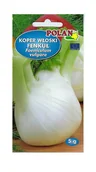Nasiona i cebule - Koper włoski Fenkuł De Florence 5 g POLAN - miniaturka - grafika 1