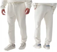 Spodnie męskie - Męskie spodnie dresowe joggery 4F TROU1033 12S kremowy XL - miniaturka - grafika 1