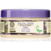 Maski do włosów - Natura Siberica Maska do Włosów Suchych i Zniszczonych, Hydra Volume, Super Siberica Professional, 300ml - miniaturka - grafika 1