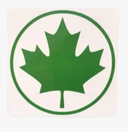 Akcesoria motoryzacyjne - Zielony Listek MAGNES - początkujący kierowca - prawo jazdy - miniaturka - grafika 1