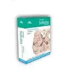 Pomoce naukowe - Anatomia Sobotta Flashcards Neuroanatomia. - Bräuer L. - miniaturka - grafika 1
