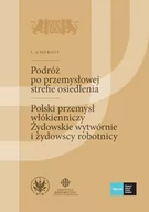 Historia świata - Podróż po przemysłowej strefie osiedlenia Szkice podróżnicze technika I Chorosz - miniaturka - grafika 1