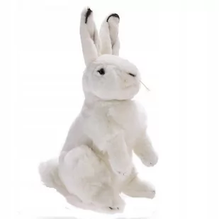 Beppe Maskotka Pluszowa Siedzący Biały Zając 25cm 13464 $ - Maskotki i pluszaki - miniaturka - grafika 1