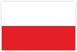 Naklejka Flaga Polski Polska 10 x 15 cm IDEALNA na SAMOCHÓD - Akcesoria motoryzacyjne - miniaturka - grafika 1