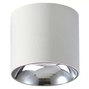 Abigali Downlight LAMPA sufitowa VAIOLETT DL10W-WW Abigali metalowa OPRAWA tuba LED 10W 3000K spot biały DL10W-WW - Lampy sufitowe - miniaturka - grafika 1