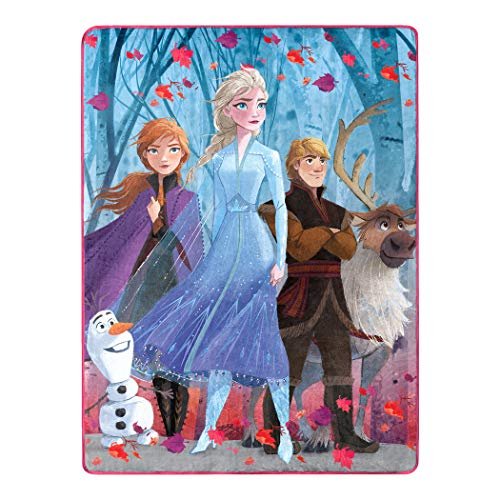 The Northwest Company Disney Frozen 2,