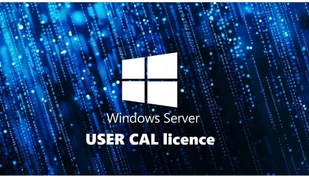 FUJITSU WINSVR CAL 2025 5User - Oprogramowanie serwerowe - miniaturka - grafika 1