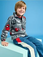 Swetry dla chłopców - Sinsay - Bluza Spiderman - szary - miniaturka - grafika 1