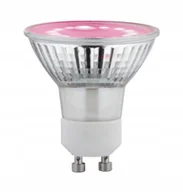 Żarówki LED - Paulmann Żarówka do roślin Grow Plant GU10 Led 3,5W 1100K - miniaturka - grafika 1