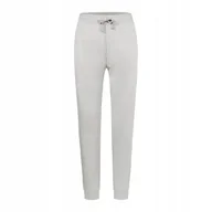 Dresy męskie - Spodnie męskie dresowe Authentic Miejski Szary r. L - miniaturka - grafika 1