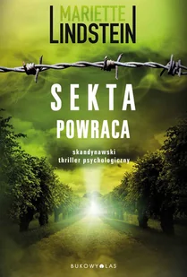Bukowy Las Sekta powraca Mariette Lindstein - Thrillery - miniaturka - grafika 2