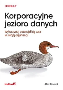 Gorelik Alex Korporacyjne jezioro danych - Książki o programowaniu - miniaturka - grafika 1