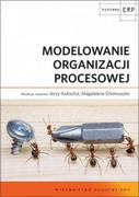 Biznes - Modelowanie organizacji procesowej - Wydawnictwo Naukowe PWN - miniaturka - grafika 1