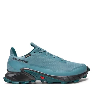 Buty do biegania Salomon Alphacross 5 Gore-Tex L47595000 Szary - Buty sportowe męskie - miniaturka - grafika 1