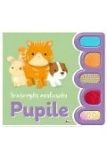 Książki edukacyjne - Pupile. Sensoryka maluszka - miniaturka - grafika 1