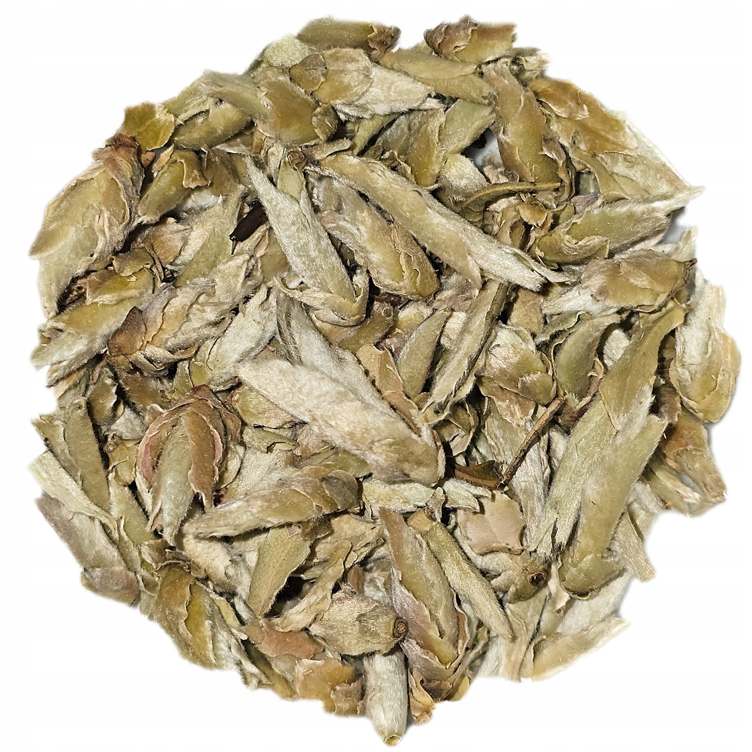 Herbata Biała Ya Bao Wild Tea Buds White Tea 30g