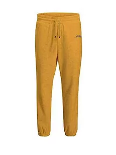 JACK & JONES Męskie spodnie do biegania Jpstkane Jjjosh Sweat Pants GMS Noos - Spodenki męskie - miniaturka - grafika 1