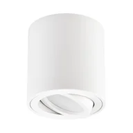 Lampy sufitowe - OPRAWA NATYNKOWA SPOT TUBA BIAŁA BOLT W1 - miniaturka - grafika 1