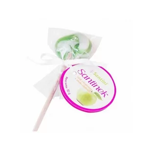 SANTINI SANTINI LIZAK SANTINEK 10G JABŁKO - Inne słodycze - miniaturka - grafika 1