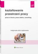 Ekonomia - Kształtowanie przestrzeni pracy Małgorzata Sidor-Rządkowska - miniaturka - grafika 1