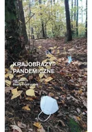 Felietony i reportaże - Krajobrazy pandemiczne - miniaturka - grafika 1