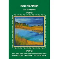 Pomoce naukowe - LITERAT Streszczenia - Nad Niemnem LITERAT - miniaturka - grafika 1