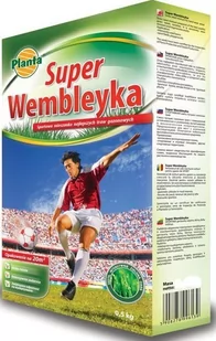 Nasiona traw WEMBLEYKA Planta 0,5kg - Nasiona i cebule - miniaturka - grafika 1