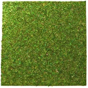 Akcesoria do terrarium - Repti-Zoo Natural Moss Back&Bottom - Naturalne Tło I Podłoże Z Mchu 45X45Cm - miniaturka - grafika 1