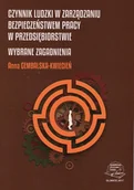 Technika - Czynnik ludzki w zarządzaniu bezpieczeństwem pracy w przedsiębiorstwie. Wybrane zagadnienia - miniaturka - grafika 1