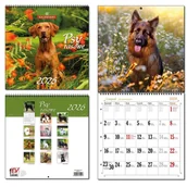 Kalendarze - EV-Corp Kalendarz 2026 30x60 13 planszowy Psy Rasowe - kalendarz - miniaturka - grafika 1