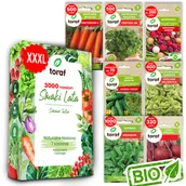 Nasiona i cebule - Nasiona warzyw MARCHEW PIETRUSZKA SAŁATA BURAK RZODKIEWKA 9 SASZETEK - miniaturka - grafika 1