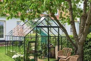 HALLS szklarnia ogrodowa Qube+ 812 - (9,9 m2; 2,61 x 3,85 m), czarna + baza, SZKŁO HARTOWANE - Szklarnie ogrodowe - miniaturka - grafika 4