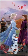 Okrycia kąpielowe dla dzieci - Ręcznik kąpielowy Frozen 2 wind, 70 x 140 cm - miniaturka - grafika 1