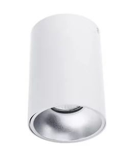 Auhilon Oprawa sufitowa NERO C1255-1L WH/S C1255-1L WH/S - Lampy sufitowe - miniaturka - grafika 1