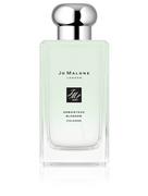 Wody i perfumy unisex - Jo Malone Osmanthus Blossom woda kolońska 100 ml - miniaturka - grafika 1