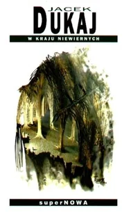 W kraju niewiernych - Horror, fantastyka grozy - miniaturka - grafika 1