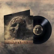 Winyle - Blizny, płyta winylowa - miniaturka - grafika 1